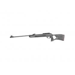 GAMO CARABINA AIRE...