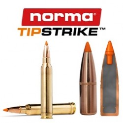Norma .300 Winchester...