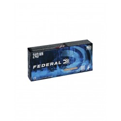 FEDERAL Power-Shok - 243...