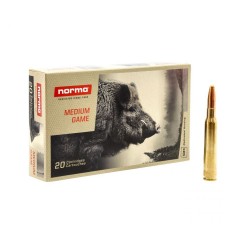 NORMA 30-06 SPRING 180GR...