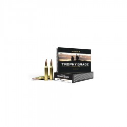Nosler Cal. 243 Win - 100...
