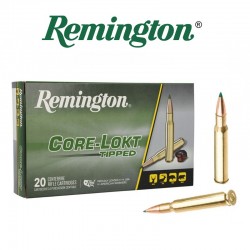 REMINGTON 30-06 165GR...
