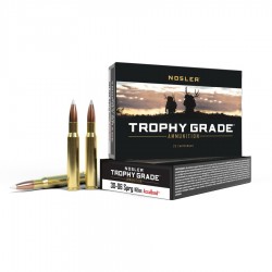 Nosler Cal. 30-06 - 165gr....