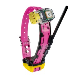 Collar GPS para perros de...