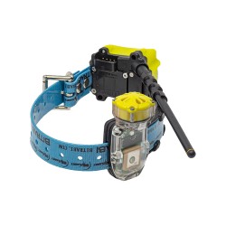 Collar Radio + GPS + Beeper...